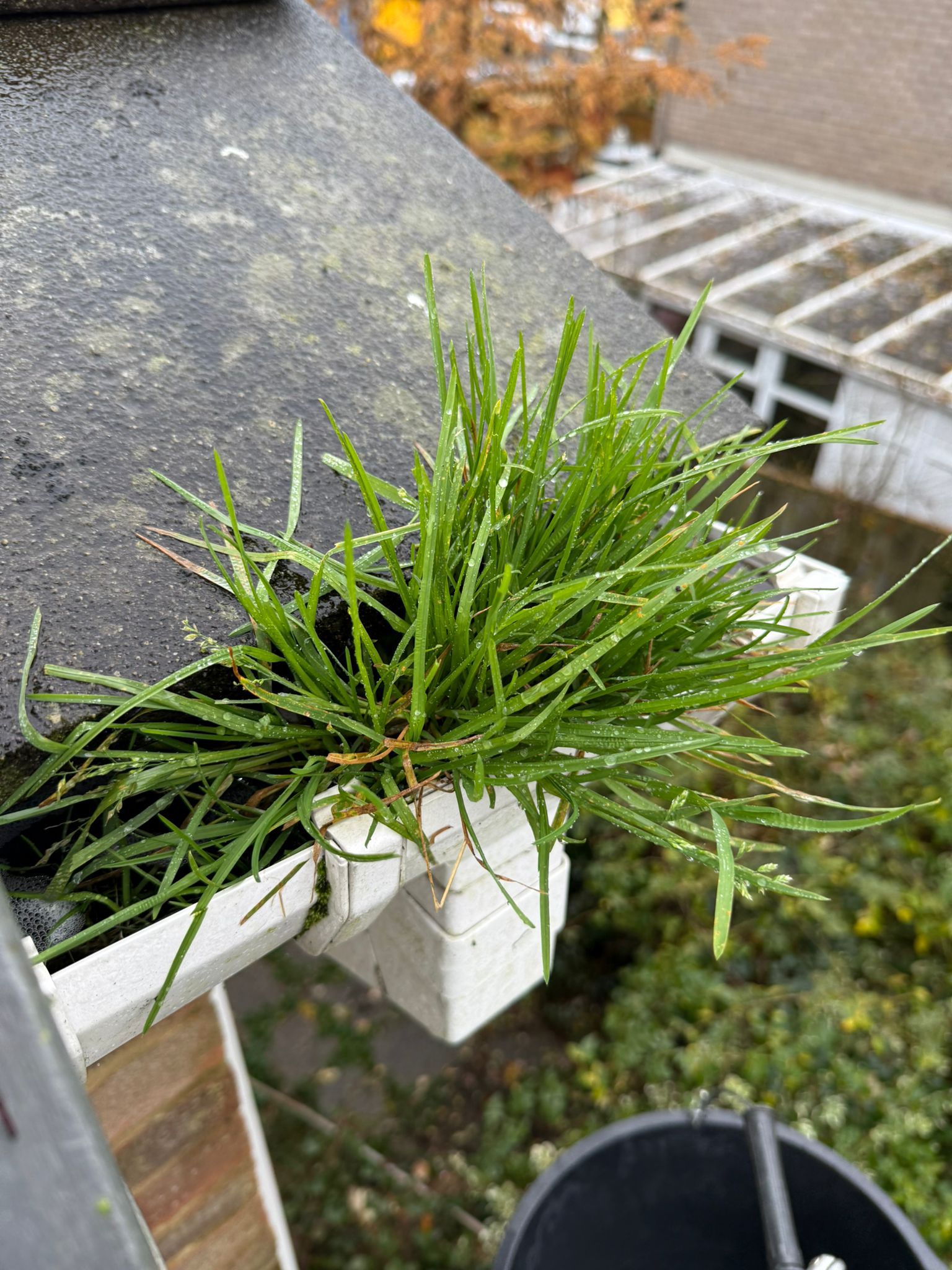 Blocked gutter downpipe in Thame